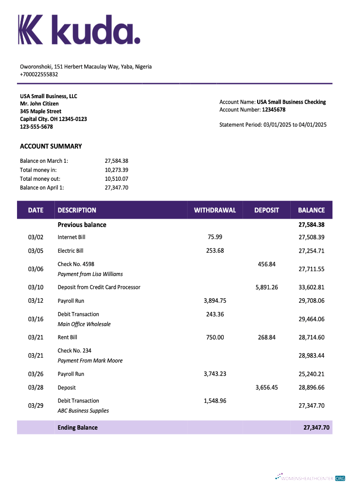 Download Nigerienia KudaBank organization account statement Word and PDF template Photoshop template